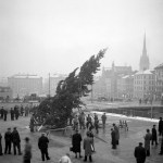 Julgranen reses. Foto: Lennart af Petersens. Stockholms Stadsmuseum. CC: By, Nc, Sa
