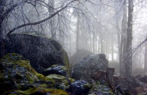Den så kallade Struvskäggsstenen utanför Bjättlunda