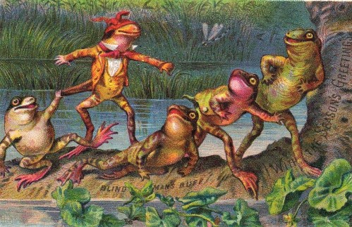 Frogs-beach (2)
